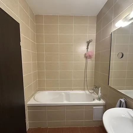 Comfort Tampa -